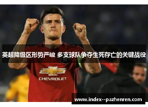 英超降级区形势严峻 多支球队争夺生死存亡的关键战役 英超降级区形势严峻 多支球队争夺生死存亡的关键战役