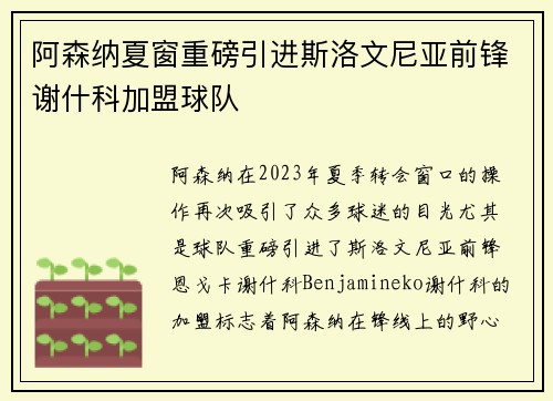 阿森纳夏窗重磅引进斯洛文尼亚前锋谢什科加盟球队